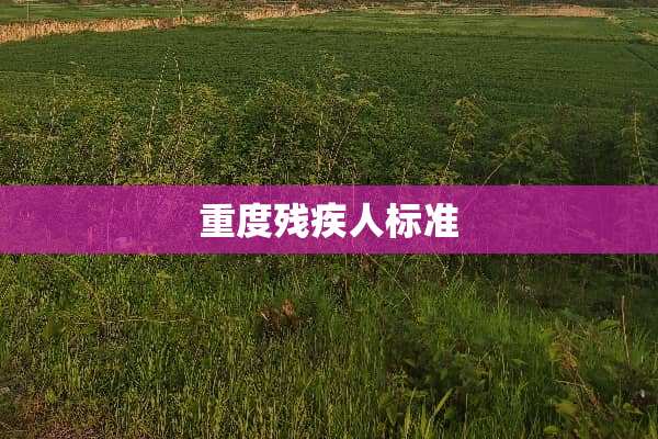 重度残疾人标准