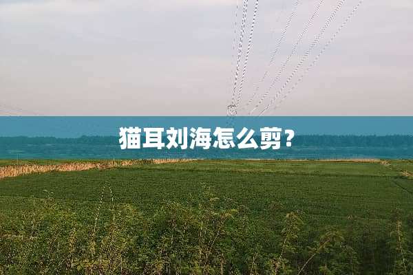 猫耳刘海怎么剪？