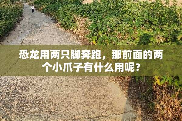 恐龙用两只脚奔跑，那前面的两个小爪子有什么用呢？