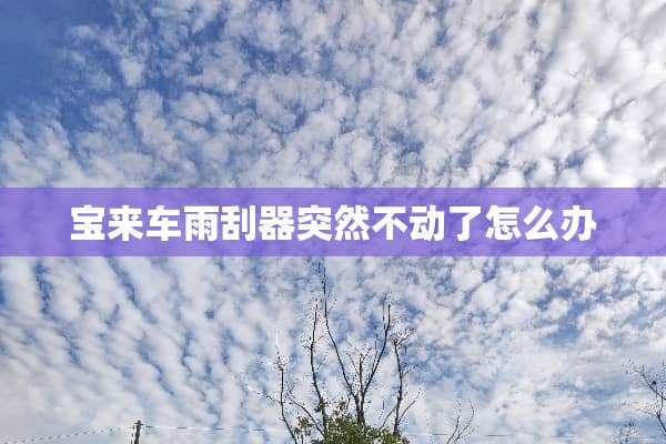 宝来车雨刮器突然不动了怎么办