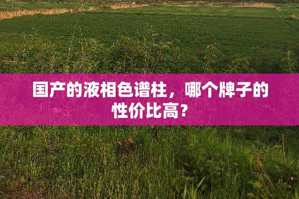 国产的液相色谱柱，哪个牌子的性价比高？