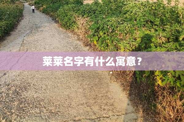 莱莱名字有什么寓意？