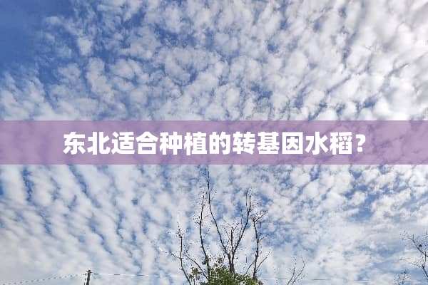 东北适合种植的转基因水稻？