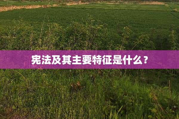宪法及其主要特征是什么？