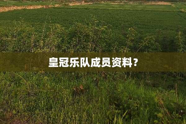 皇冠乐队成员资料？