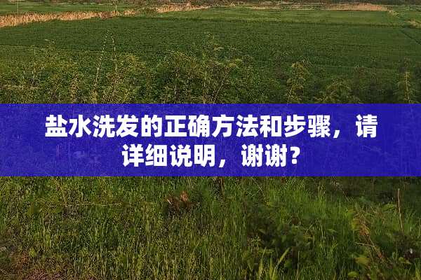 盐水洗发的正确方法和步骤，请详细说明，谢谢？