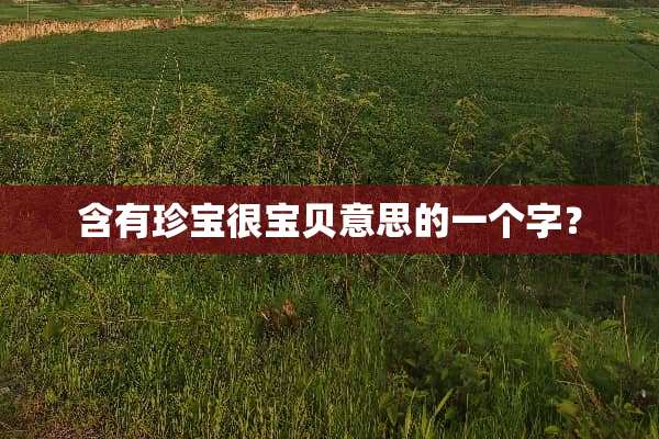 含有珍宝很宝贝意思的一个字？