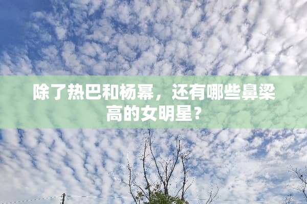 除了热巴和杨幂，还有哪些鼻梁高的女明星？
