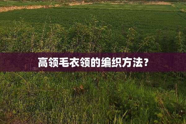 高领毛衣领的编织方法？