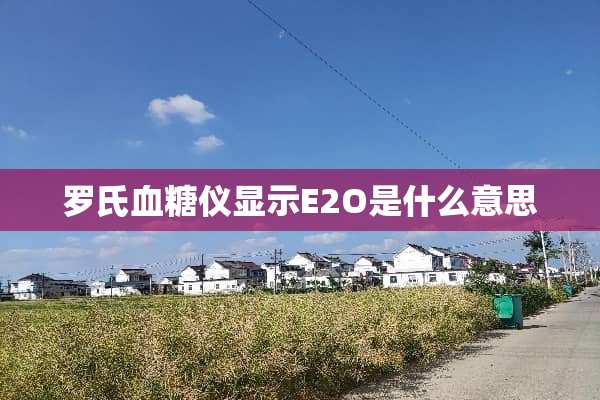 罗氏血糖仪显示E2O是什么意思