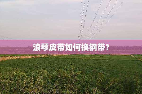 浪琴皮带如何换钢带？