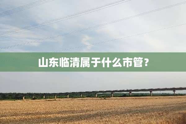 山东临清属于什么市管？