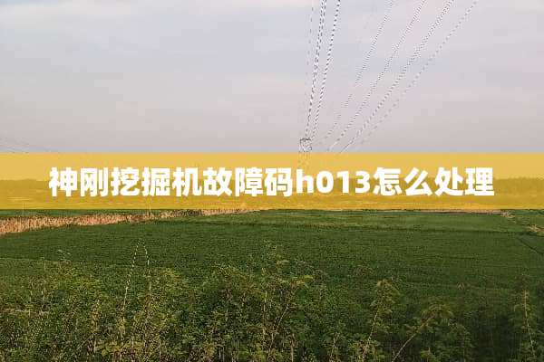 神刚挖掘机故障码h013怎么处理