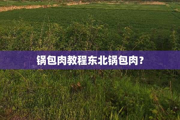 锅包肉教程东北锅包肉？