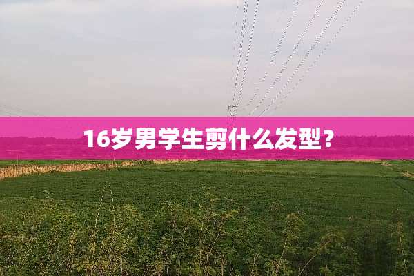 16岁男学生剪什么发型？