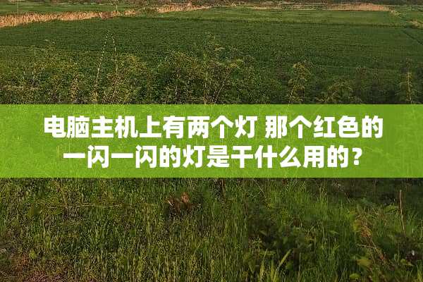 电脑主机上有两个灯 那个红色的一闪一闪的灯是干什么用的？
