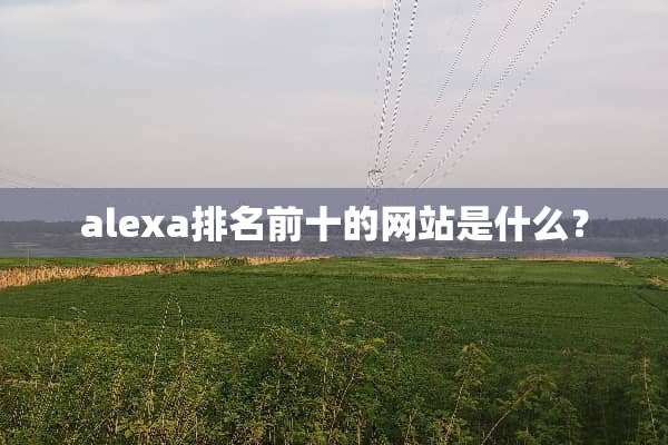 alexa排名前十的网站是什么？