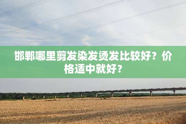邯郸哪里剪发染发烫发比较好？价格适中就好？