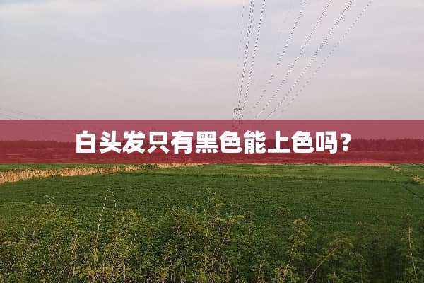 白头发只有黑色能上色吗？