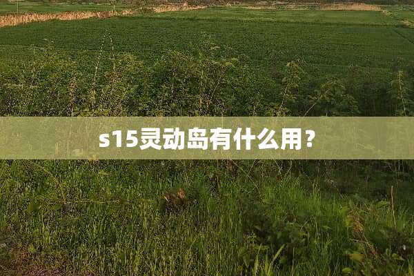 s15灵动岛有什么用？
