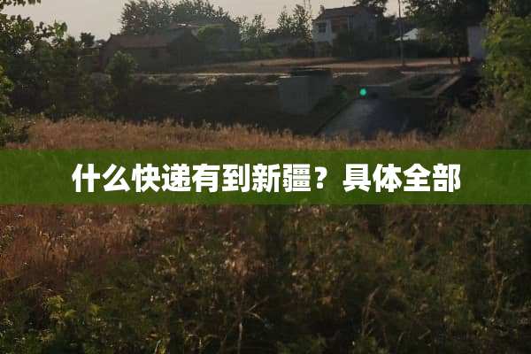 什么快递有到新疆？具体全部