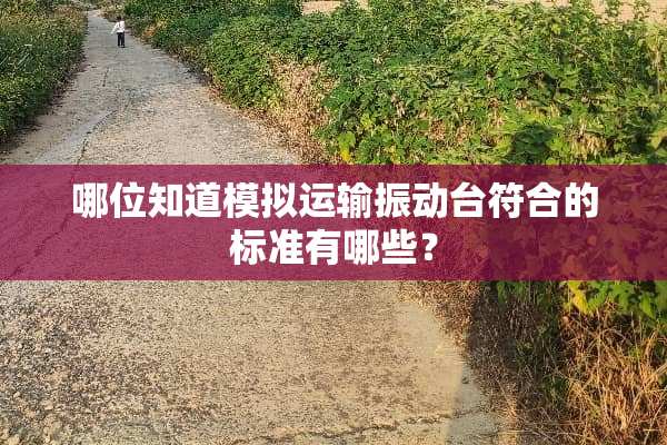 哪位知道模拟运输振动台符合的标准有哪些？