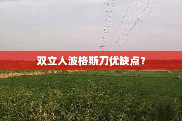 双立人波格斯刀优缺点？