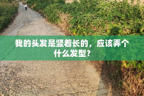 我的头发是竖着长的，应该弄个什么发型？