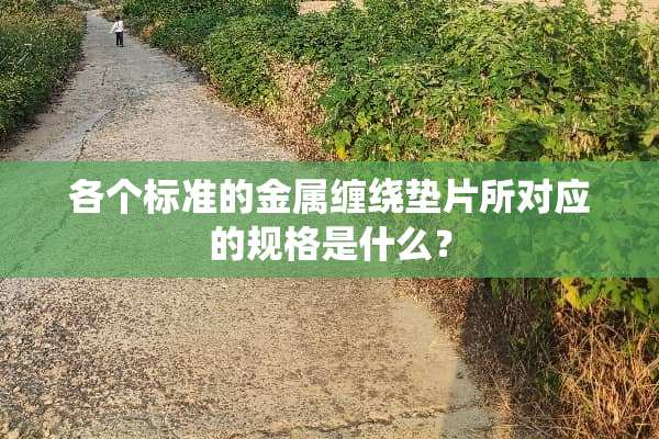 各个标准的金属缠绕垫片所对应的规格是什么？