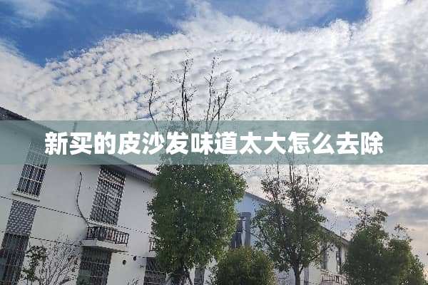 新买的皮沙发味道太大怎么去除