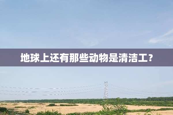 地球上还有那些动物是清洁工？
