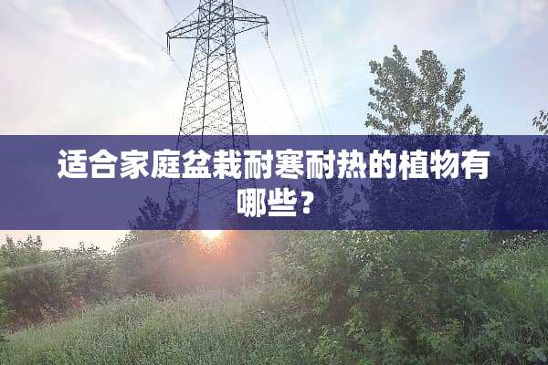 适合家庭盆栽耐寒耐热的植物有哪些？