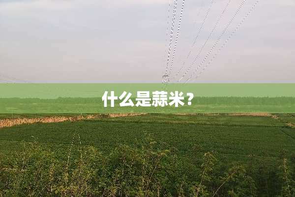 什么是蒜米？