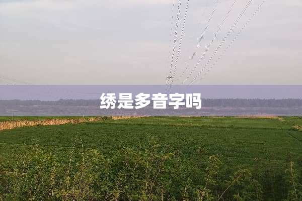 绣是多音字吗