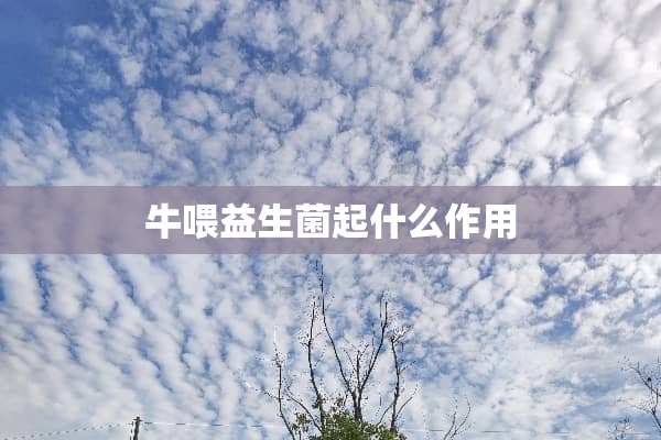 牛喂益生菌起什么作用