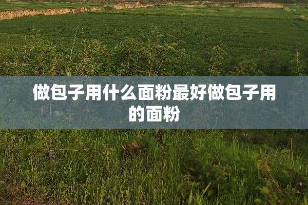 做包子用什么面粉最好做包子用的面粉
