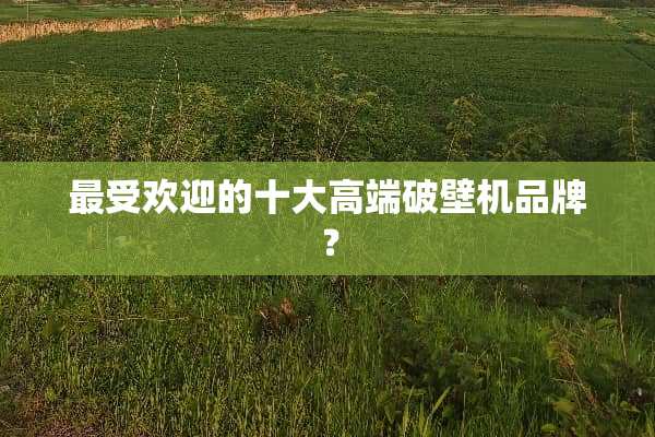 最受欢迎的十大高端破壁机品牌？