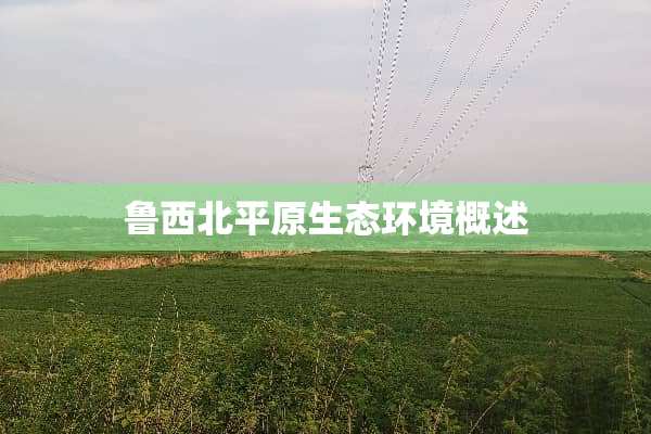 鲁西北平原生态环境概述