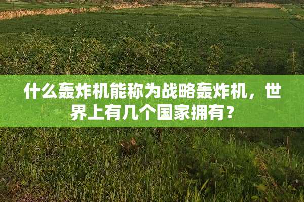 什么轰炸机能称为战略轰炸机，世界上有几个国家拥有？