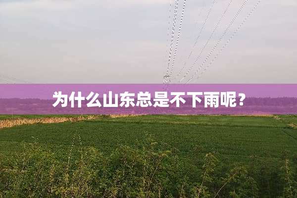 为什么山东总是不下雨呢？