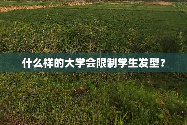 什么样的大学会限制学生发型？