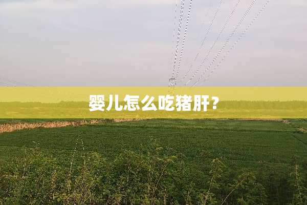 婴儿怎么吃猪肝？