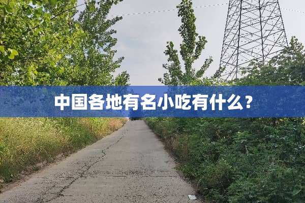 中国各地有名小吃有什么？