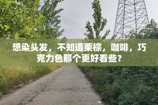 想染头发，不知道栗棕，咖啡，巧克力色那个更好看些？