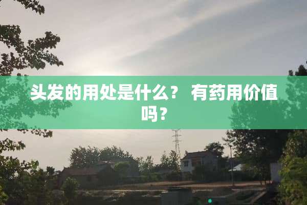头发的用处是什么？ 有药用价值吗？