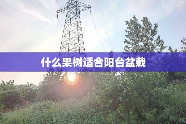 什么果树适合阳台盆栽