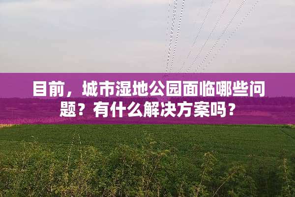 目前，城市湿地公园面临哪些问题？有什么解决方案吗？