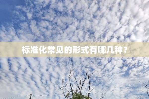 标准化常见的形式有哪几种？