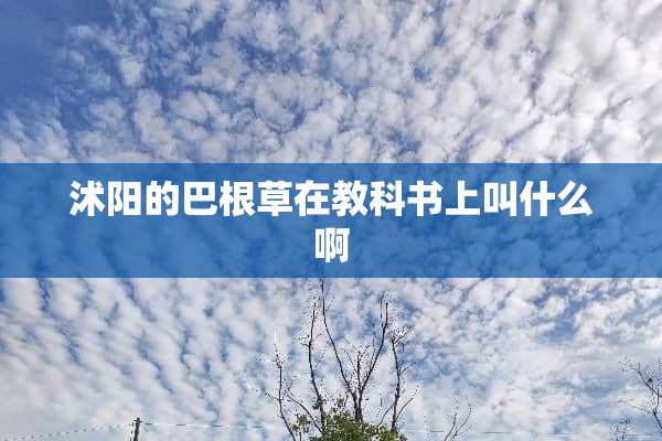 沭阳的巴根草在教科书上叫什么啊