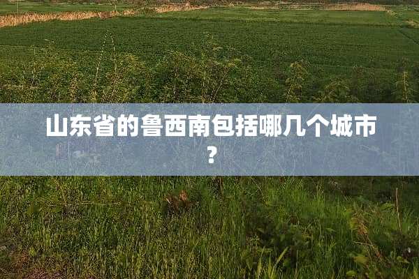 山东省的鲁西南包括哪几个城市？